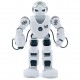 Робот Hoverbot Leneng Alpha Companion, цвет Белый/Серебристый